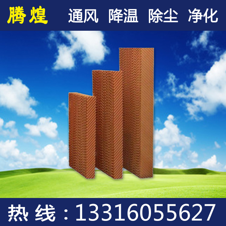 車(chē)間濕簾空調(diào)河源  廠房降溫首選騰煌
